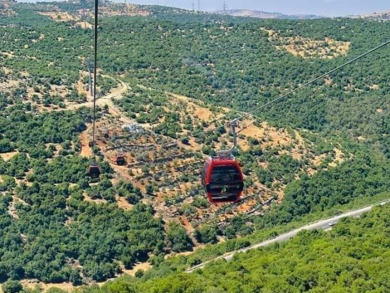 364095222_223562927336756_3828357464562092980_n