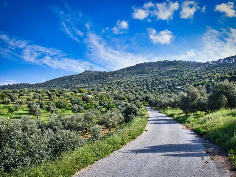 hisham-zayadnh-btz3EV_ZMto-unsplash